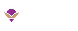 Ovi Design Academy, The Best UX UI Training in Chennai,